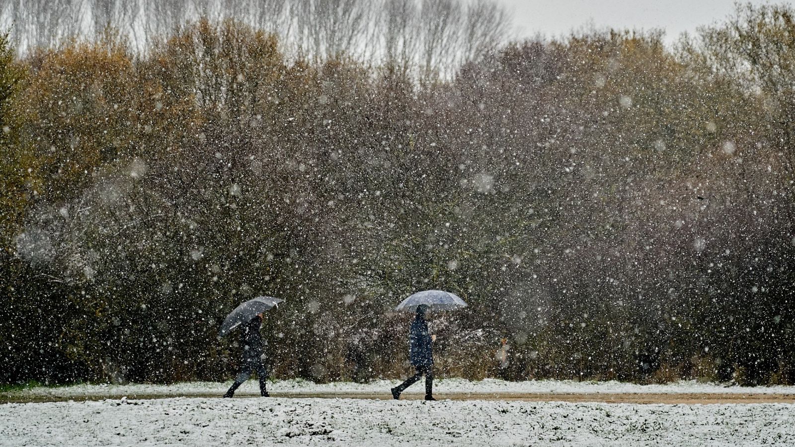 Temporal: Cantabria, País Vasco y Navarra, en alerta roja por la nieve