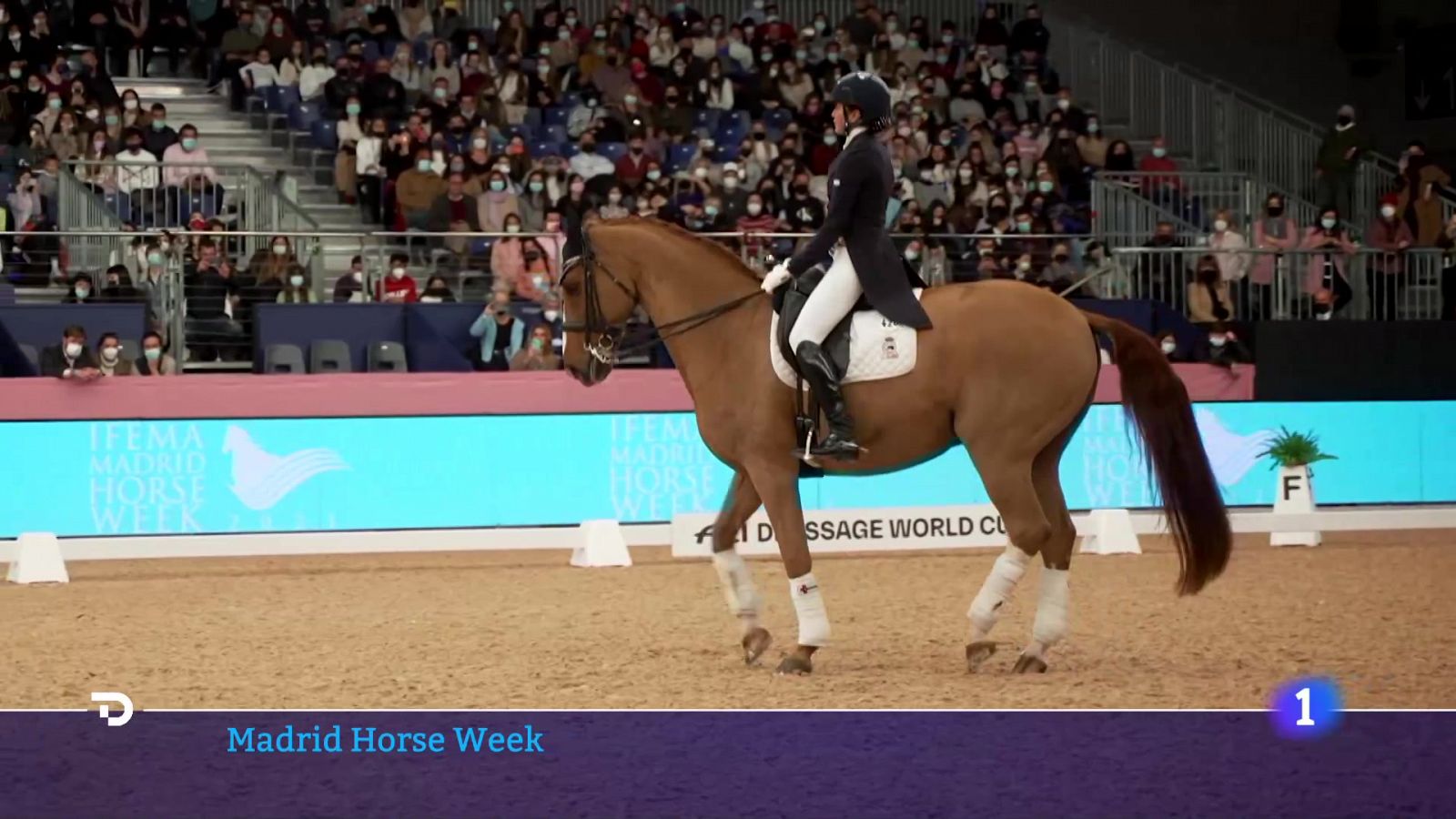 Muchas novedades en la Madrid Horse Week