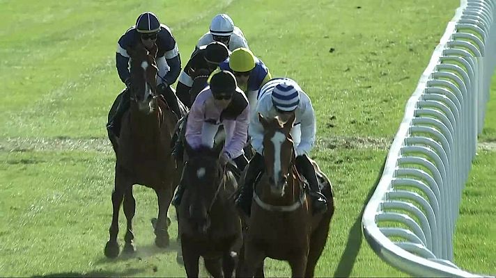 Carreras de caballos. Hipódromo de La Zarzuela (Madrid)