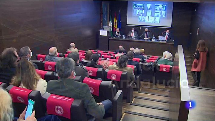 Nace el Consejo Andaluz del Flamenco