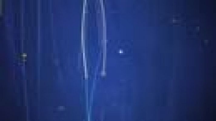 Noticias Andalucía - Noticias Andalucía - 29/11/2021