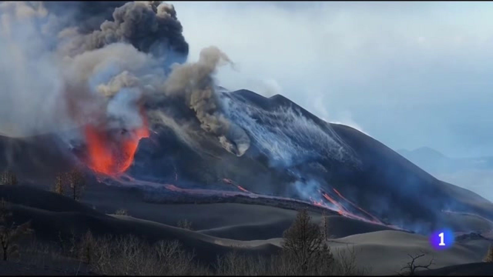 Telecanarias - 29/11/2021