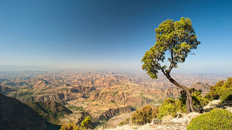 Espaoles en el mundo - Etiopa, el origen de la humanidad - Ver ahora