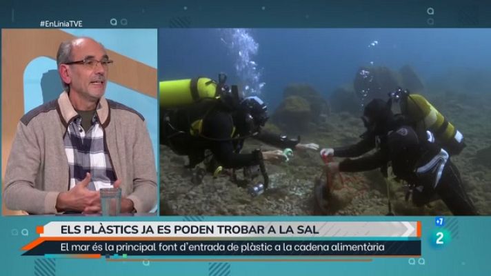 En Línia - Microplàstics a la sal