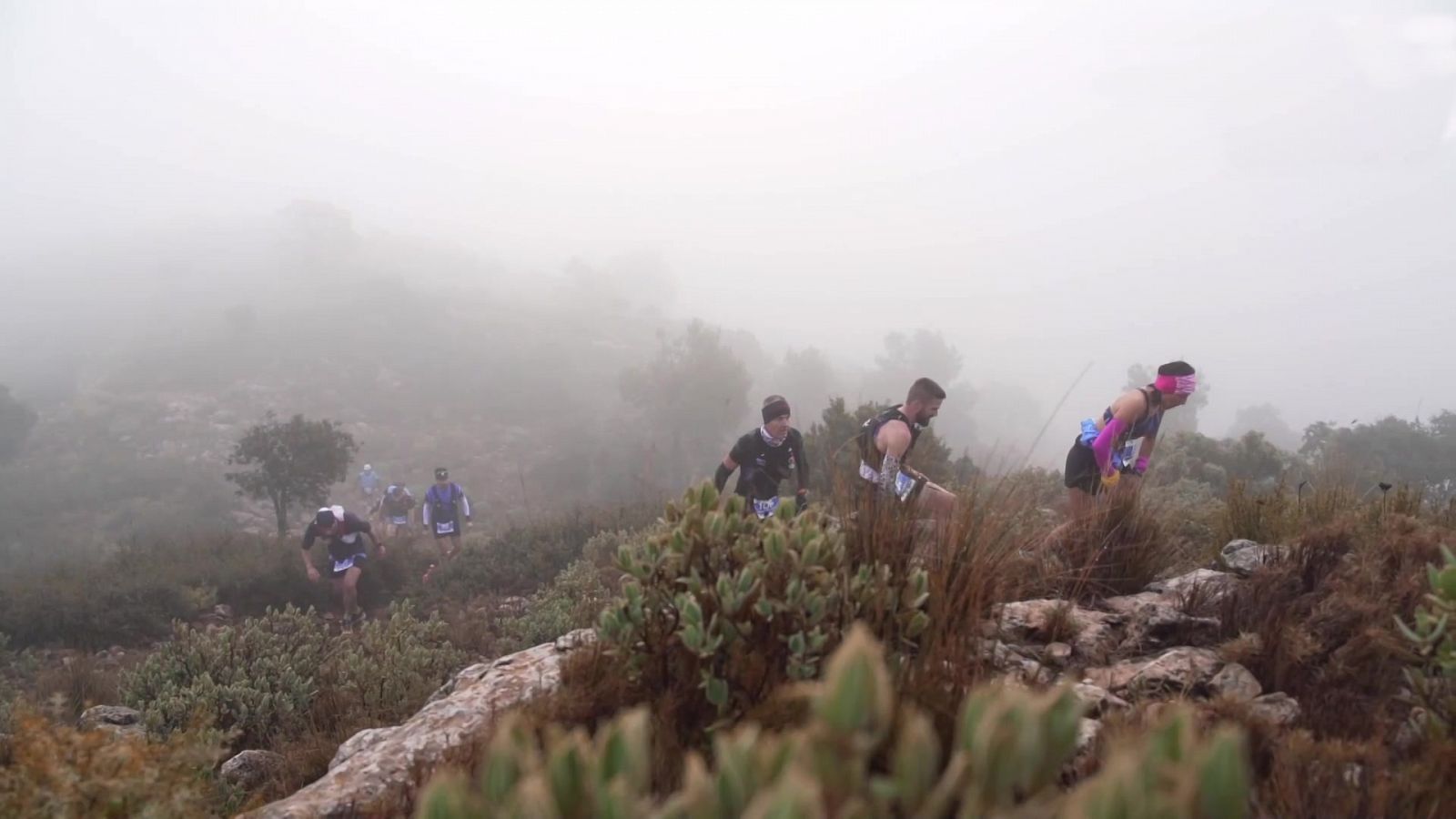 Trail - Barbudo Trail 2021 - ver ahora