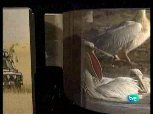 La ruta de los exploradores - La selva de un hombre bueno