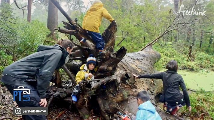 Una iniciativa para crear guarderías a domicilio