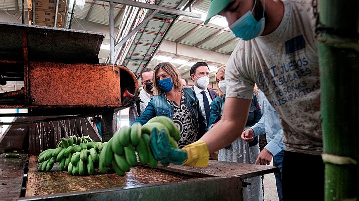 Telediario 1 - La reforma de Ley de Cadena Alimentaria obligará a pagar los costes de producción