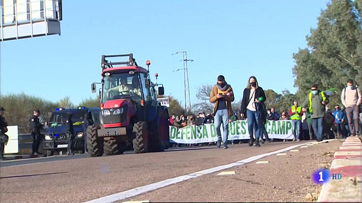 Protesta del campo extremeño por los bajos precios