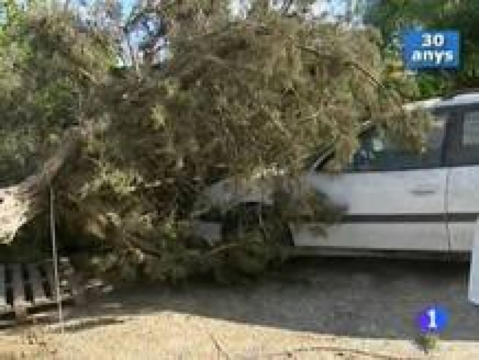 Informatiu Balear. Informatiu de les Illes Balears (06/11/09)