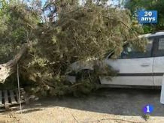 Informatiu Balear - Informatiu Balear - 06/11/09