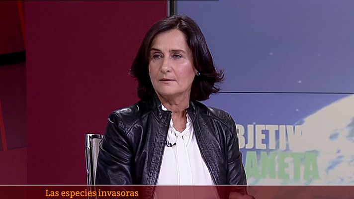 Objetivo Planeta - Especies exóticas invasoras