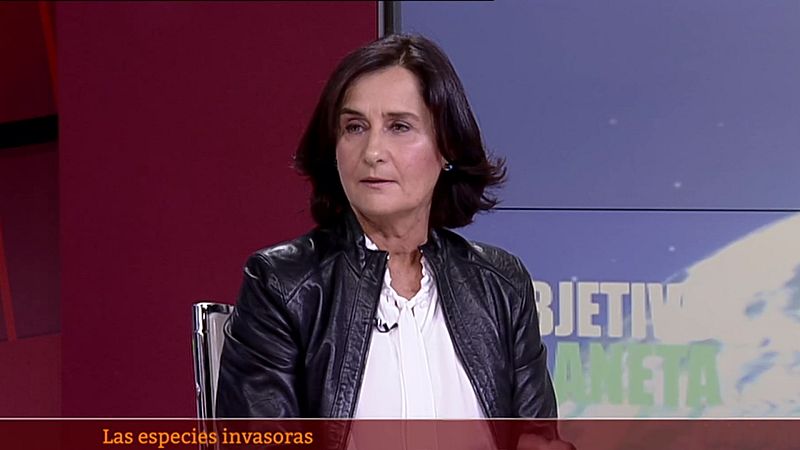 Objetivo Planeta - Especies exóticas invasoras - escuchar 