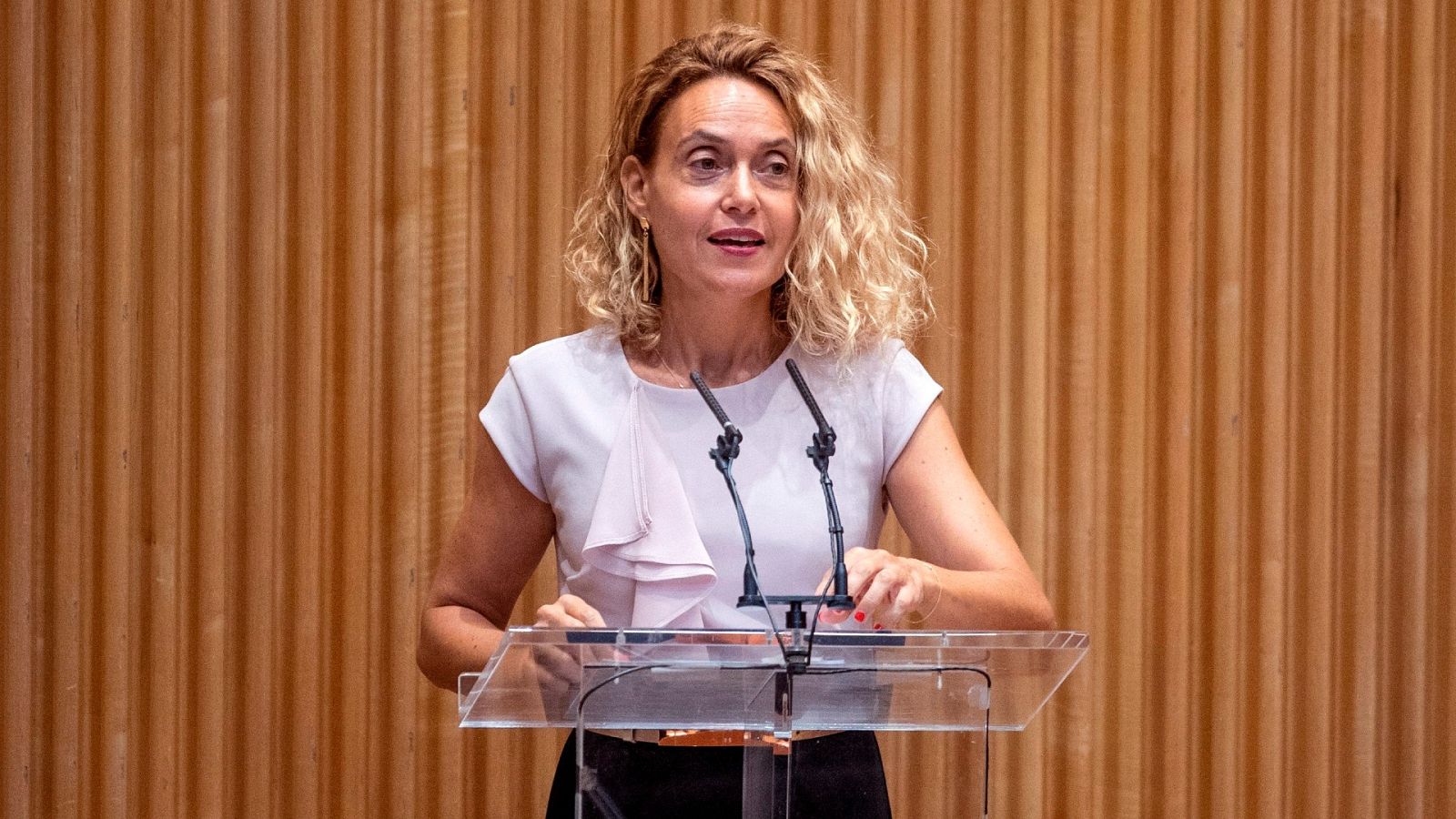 Batet, en la jornada de puertas abiertas del Congreso: "Tenemos la responsabilidad de acercar las instituciones  a los ciudadanos"