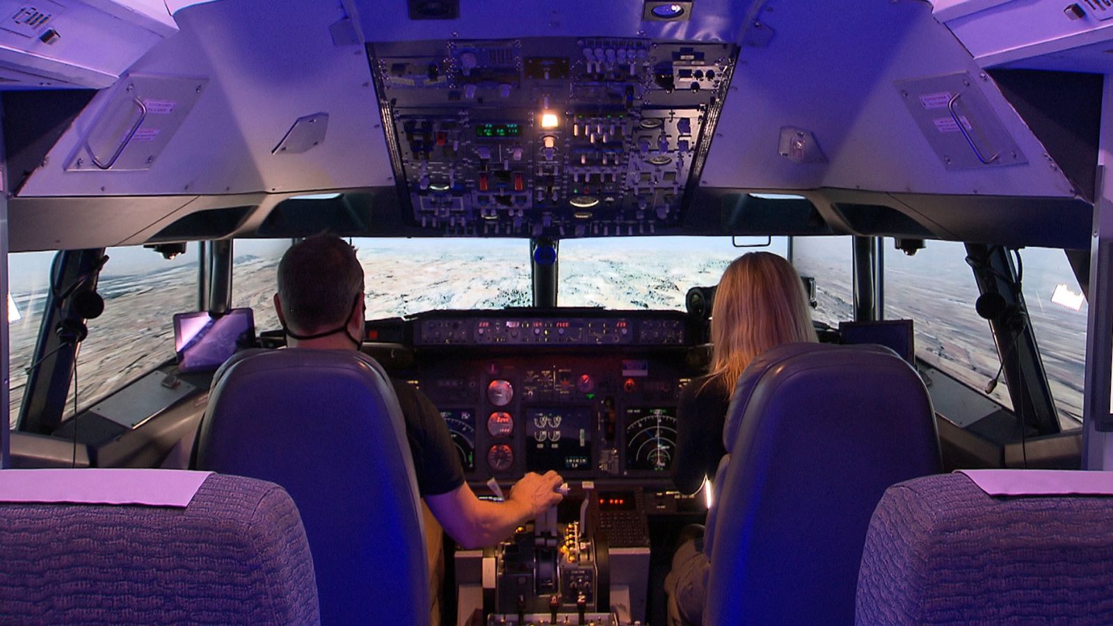 El escarabajo verde - Volando hacia el cambio - ver ahora