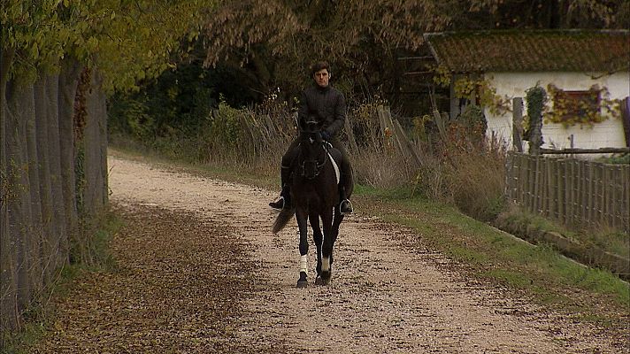 Tendido cero - Tendido cero - 04/12/21
