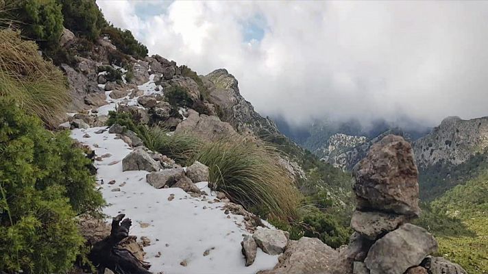 Precipitaciones localmente fuertes en el área Cantábrica y norte de Galicia. Intervalos de viento fuerte en el Cantábrico, bajo Ebro, Ampurdán, Baleares y Canarias       