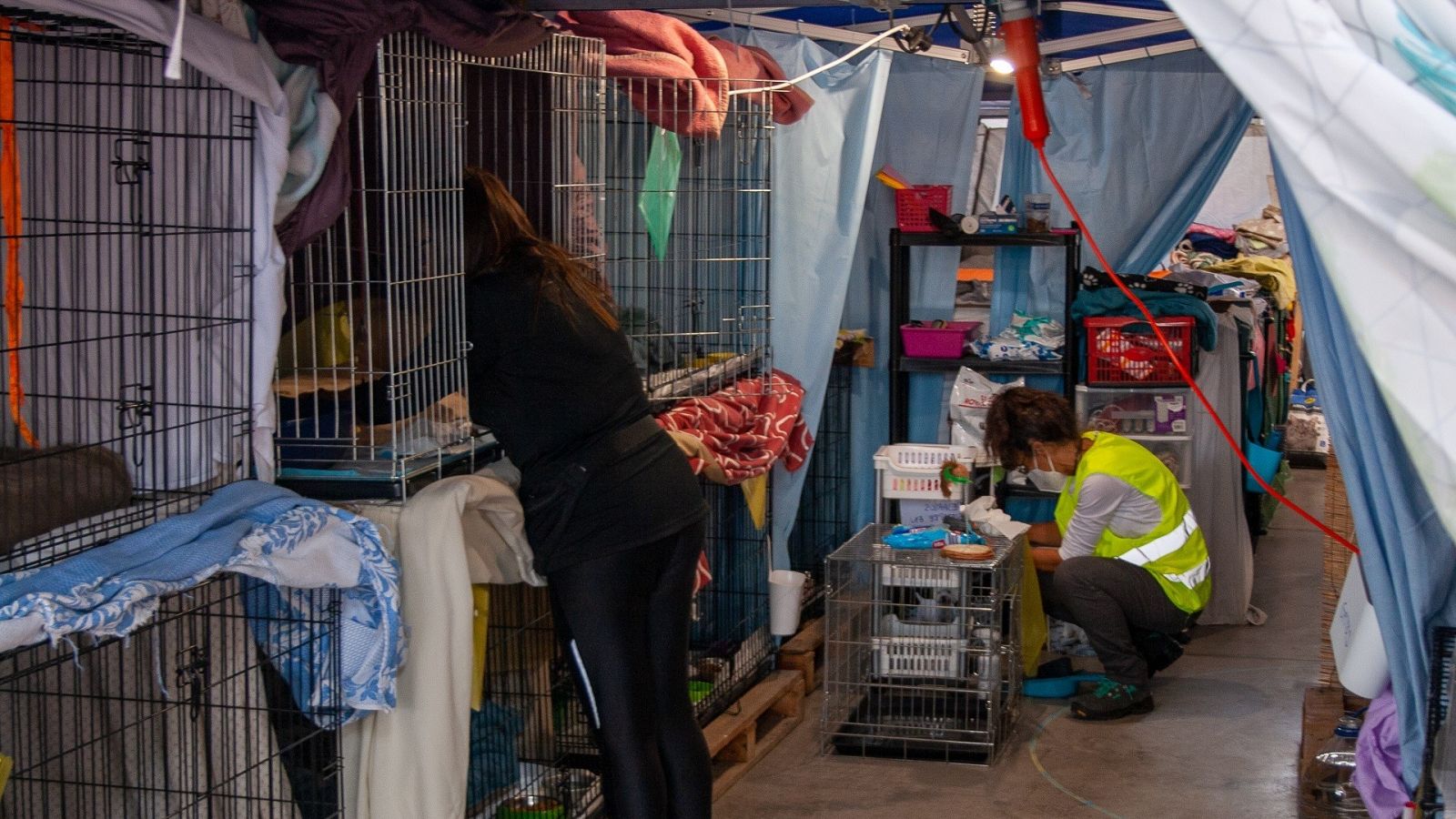 Voluntarios se vuelcan con los palmeros afectados por el volcán