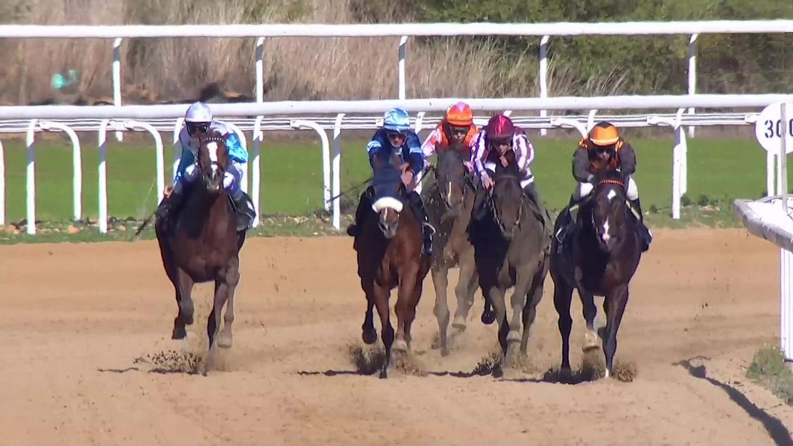 Hípica - Circuito nacional de carreras de caballos, desde el Hipódromo de Dos Hermanas (Sevilla) - RTVE Play