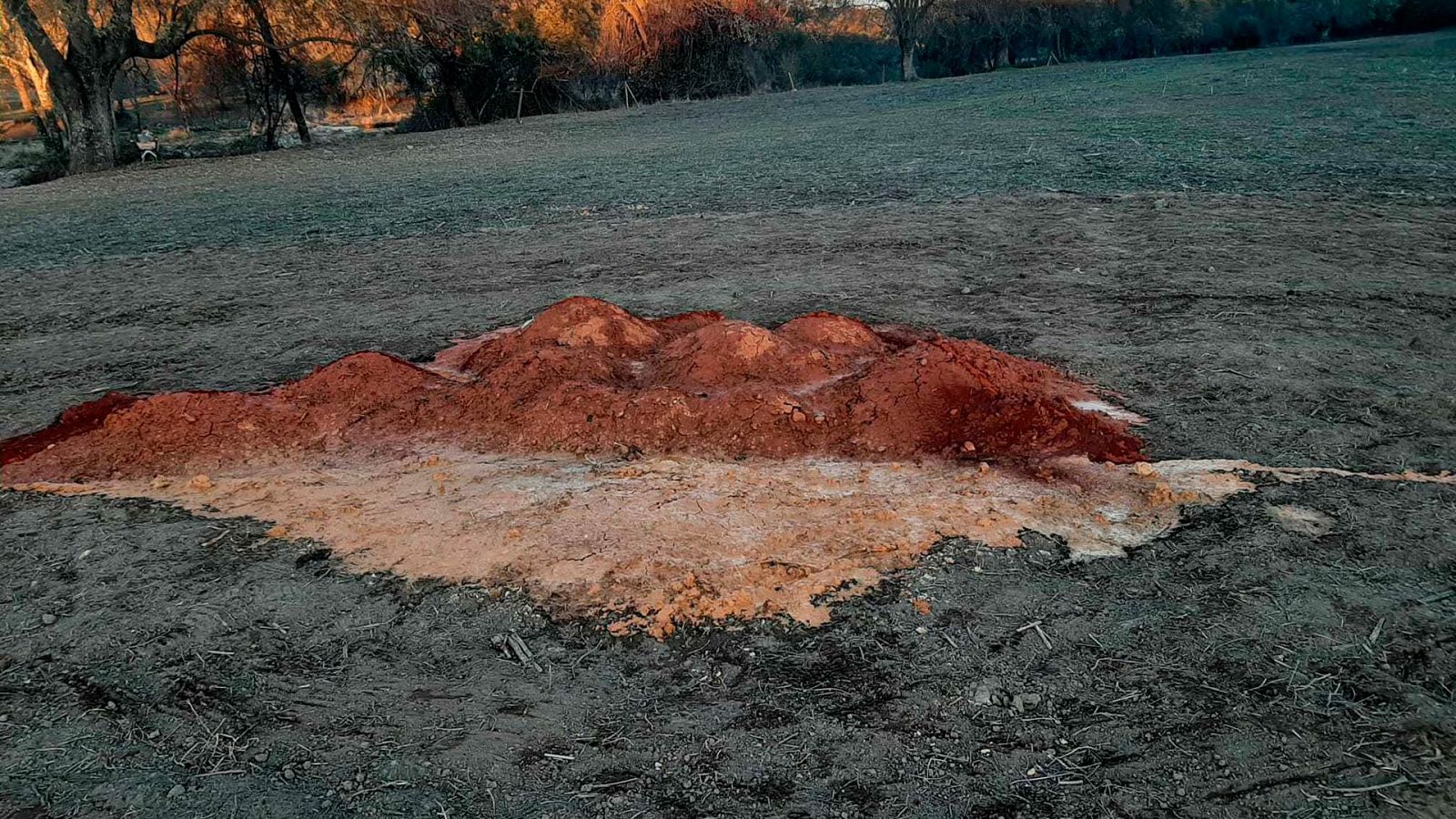 El escarabjo verde - Arte en la tierra, avance