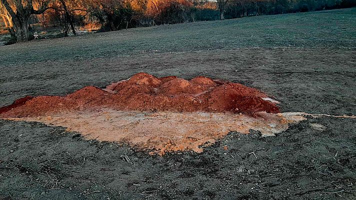 Arte en la tierra, avance