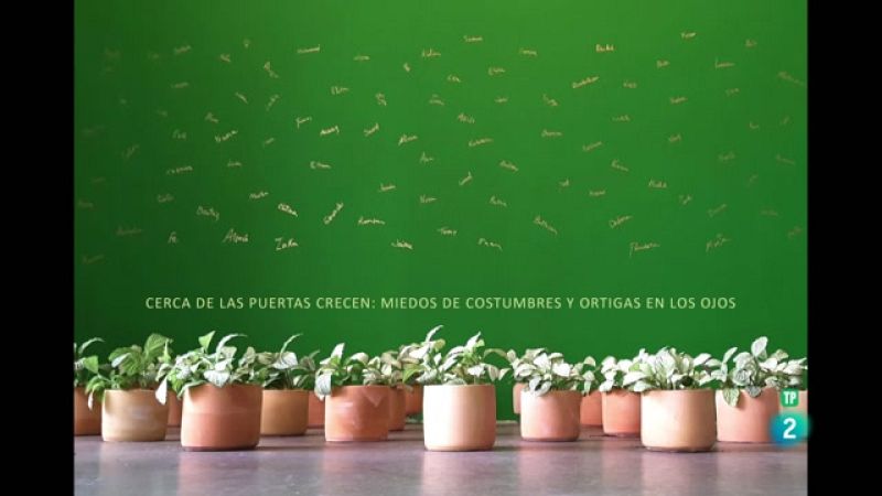 La aventura del saber - Boek visual: Elisa Torreira - Ver ahora