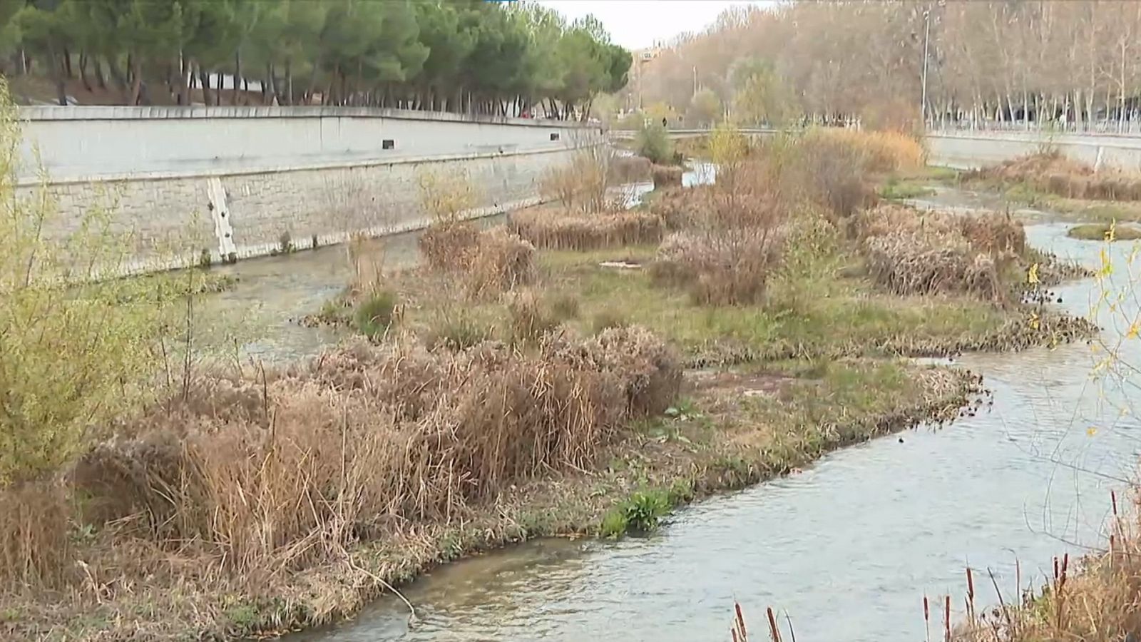 La renaturalización de los ríos españoles a través del 'modelo Manzanares' - Ver ahora