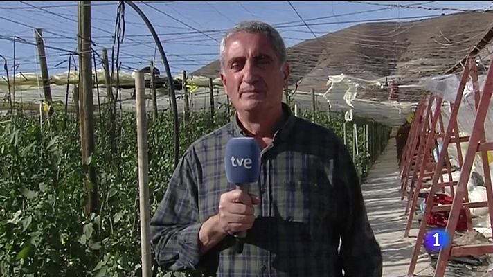 Noticias Andalucía - Los fuertes vientos dañan cultivos e invernaderos en Granada