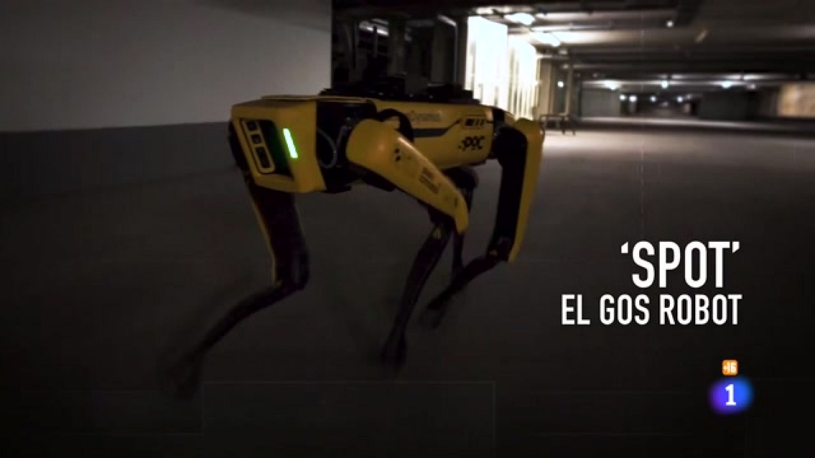 Obrim fil - Spot, el robot de del futur Boston Dynamics - RTVE Catalunya