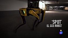 Obrim fil - Spot, el robot del futur de Boston Dynamics
