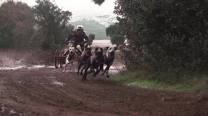 Mushing Tierra - Copa de España