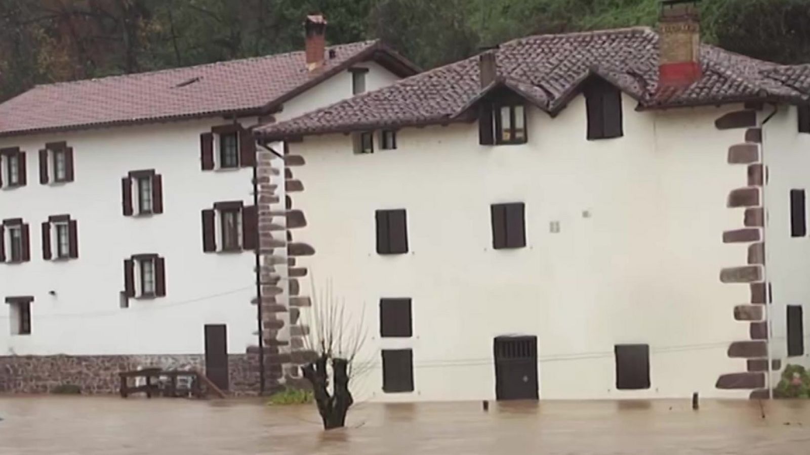 Diario 24 - 10/12/21 (1) - ver ahora