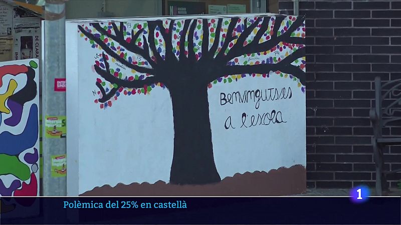 El TSJC demana a Educació que demostri que s'aplica el 25% 