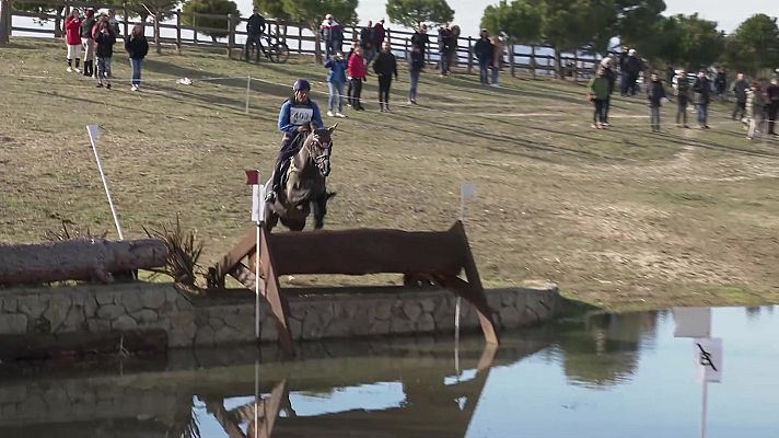 Hípica - Campeonato de España Absoluto Completo