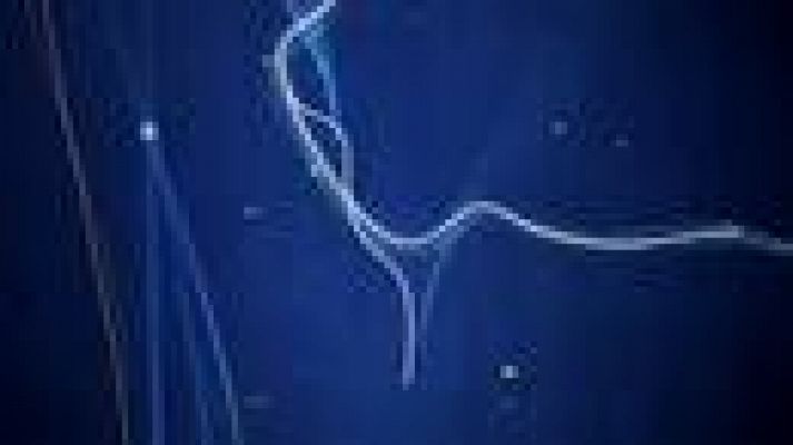 Noticias de Castilla y León - Castilla y León en 2' - 10/12/21