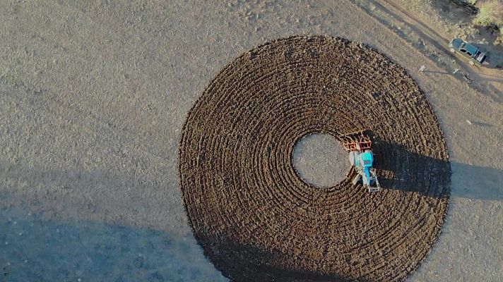El escarabajo verde - Arte en la Tierra