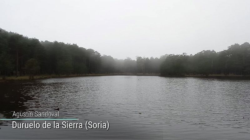 Nevadas en Pirineos. Viento con intervalos de fuerte en Ampurdán, Menorca y Canarias occidentales, y rachas muy fuertes en Pirineos, Ibérica oriental y bajo Ebro - ver ahora