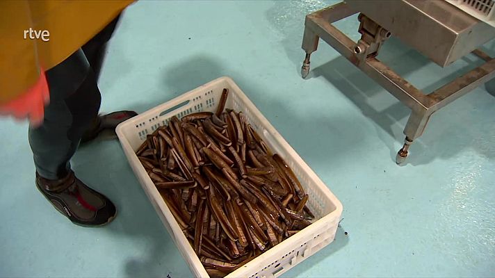 Informe Semanal - Furtivismo, delito y arraigo