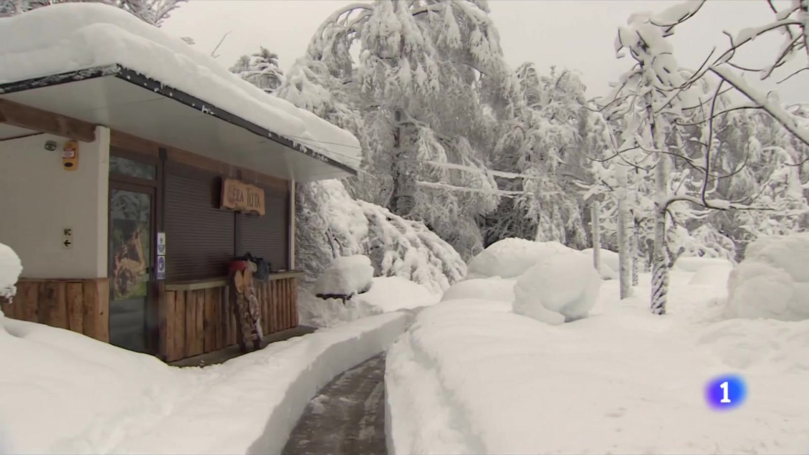 Paisatges de neu idíl·lics a la Vall d'Aran