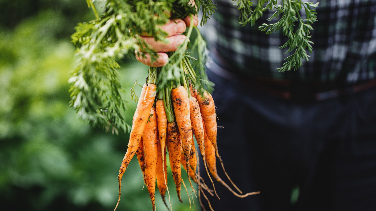 El sector primario, en dificultades por la subida de las materias primas