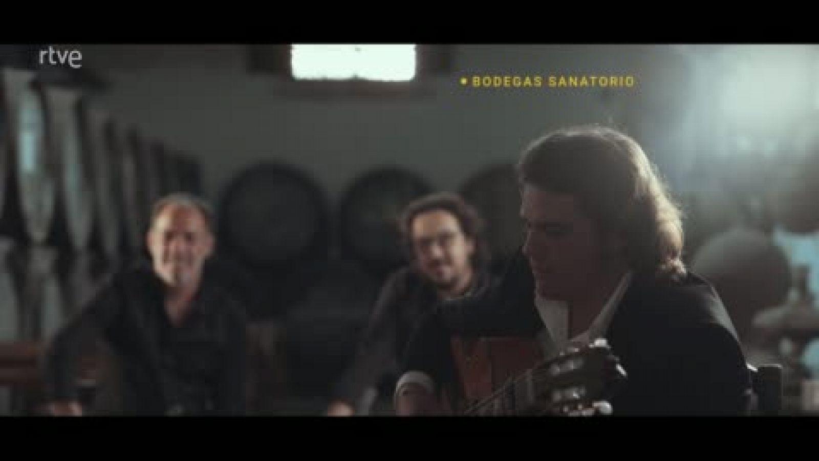 Actuación de Rancapino chico en el primer capítulo de 'caminos del flamenco' dedicado a Cádiz y sus puertos