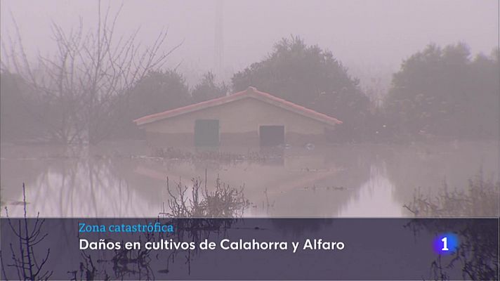 Informativo Telerioja - Informativo Telerioja - 13/12/21