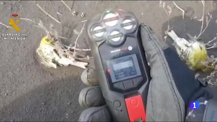 Telecanarias - Telecanarias - 13/12/2021