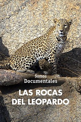 Las rocas del leopardo