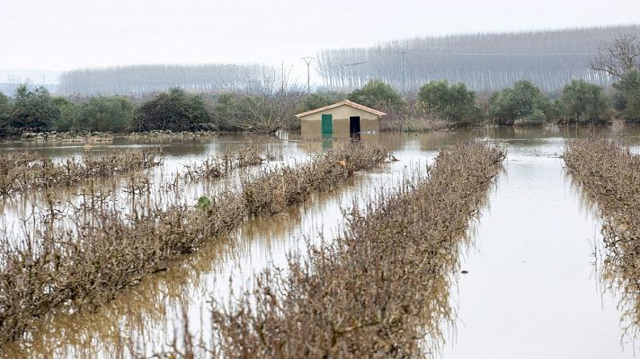 Telediario 1 - Más de 10.000 hectáreas de cultivos han sido anegadas por la crecida del río Ebro en Navarra