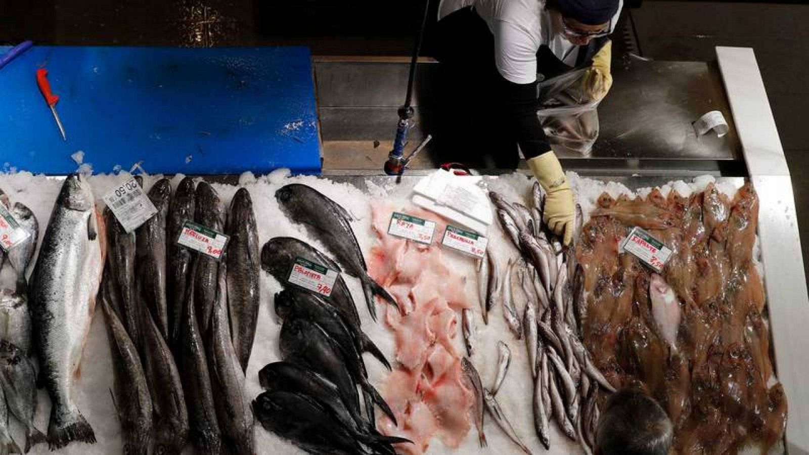 España asume el recorte de capturas de merluza pero rechaza los ajustes pesqueros en el Mediterráneo