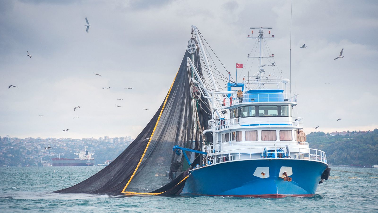 La UE da luz verde cuotas de pesca para 2022 con recortes para los pesqueros españoles