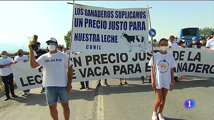 Crisis de los ganaderos andaluces de la leche 