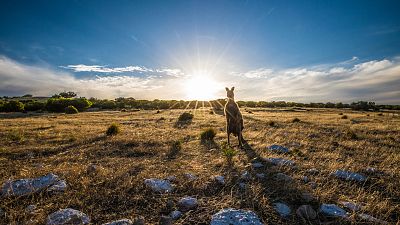 Turismo rural en el mundo - Australia - ver ahora