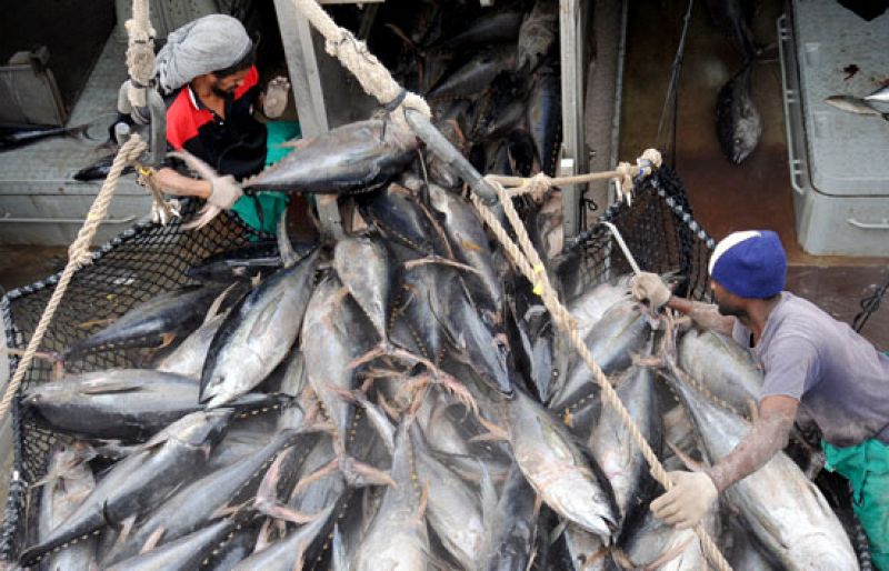 Pescadores españoles siguen desde las Seychelles la situación del Alakrana